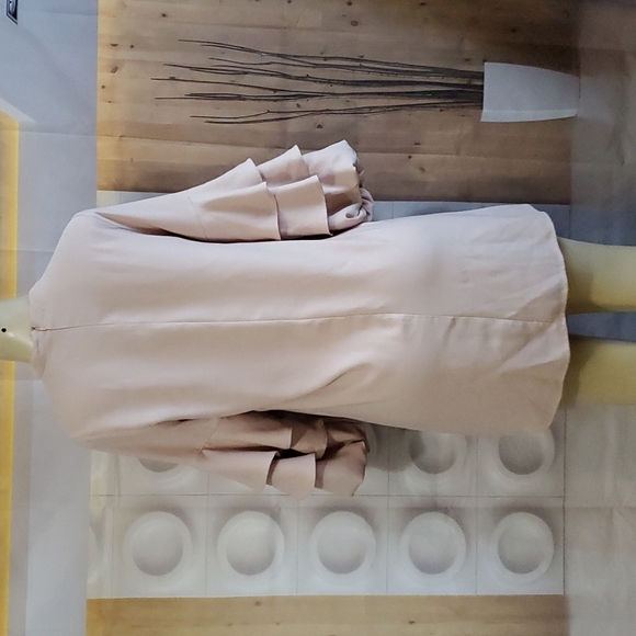 Zara Tan color ruffle sleeve mini dress Size M - Picture 5 of 8